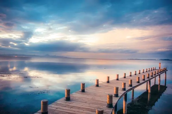 柠檬创意美食做法