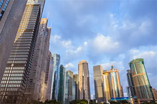 毛虫虫美食做法