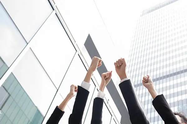 紫色竹子美食做法